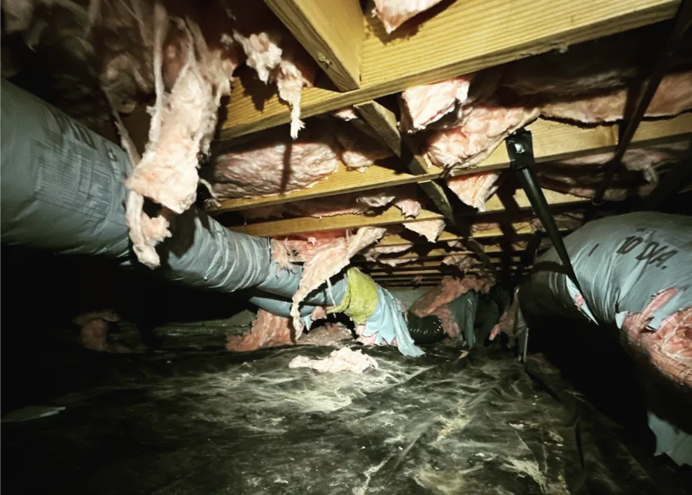 Damaged crawl space insulation with hanging fiberglass and exposed ductwork, indicating poor energy efficiency and need for repair.
